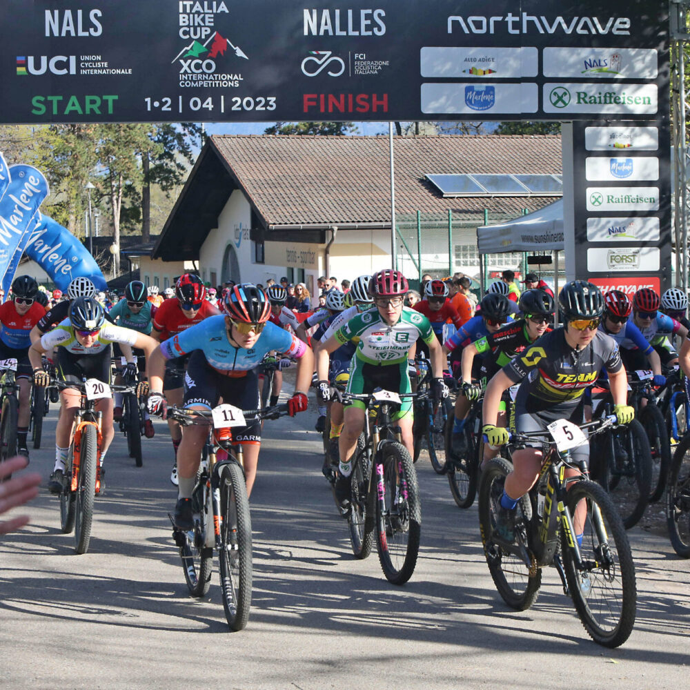 Newspower.it Trento www.newspower.it