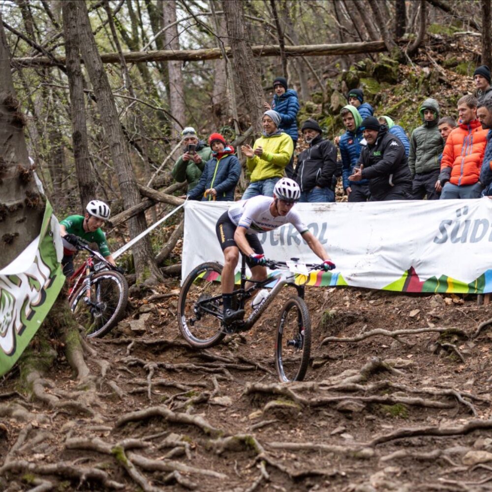 799824c9-ff21-42c5-ae60-a576fddca3f0