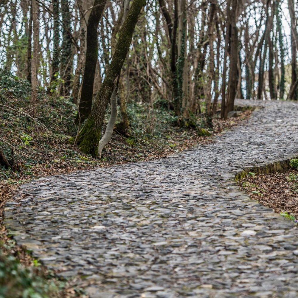 037b6ea4-5832-4d91-8614-c29d399c6811