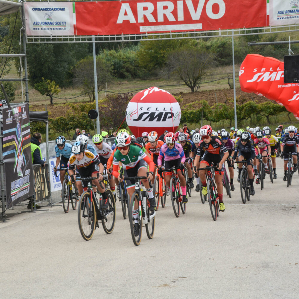 04c8da6c-50c4-462e-b8d3-2db21212f440