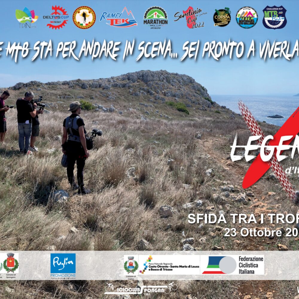 08b8a21f-2687-4ee2-b98c-30ffe3ae2181