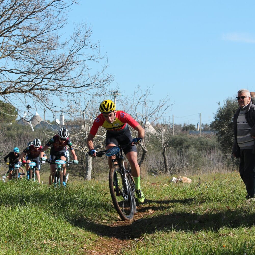 0abd41f4-07df-476a-b0d3-7d5e9235f8fd 0abd41f4-07df-476a-b0d3-7d5e9235f8fd