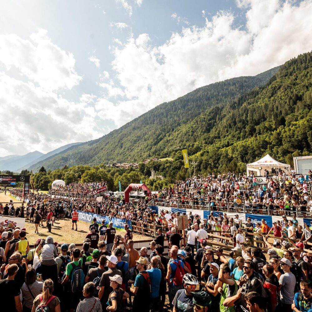 0c0ab58b-446e-470a-99c5-7faf95ab1598