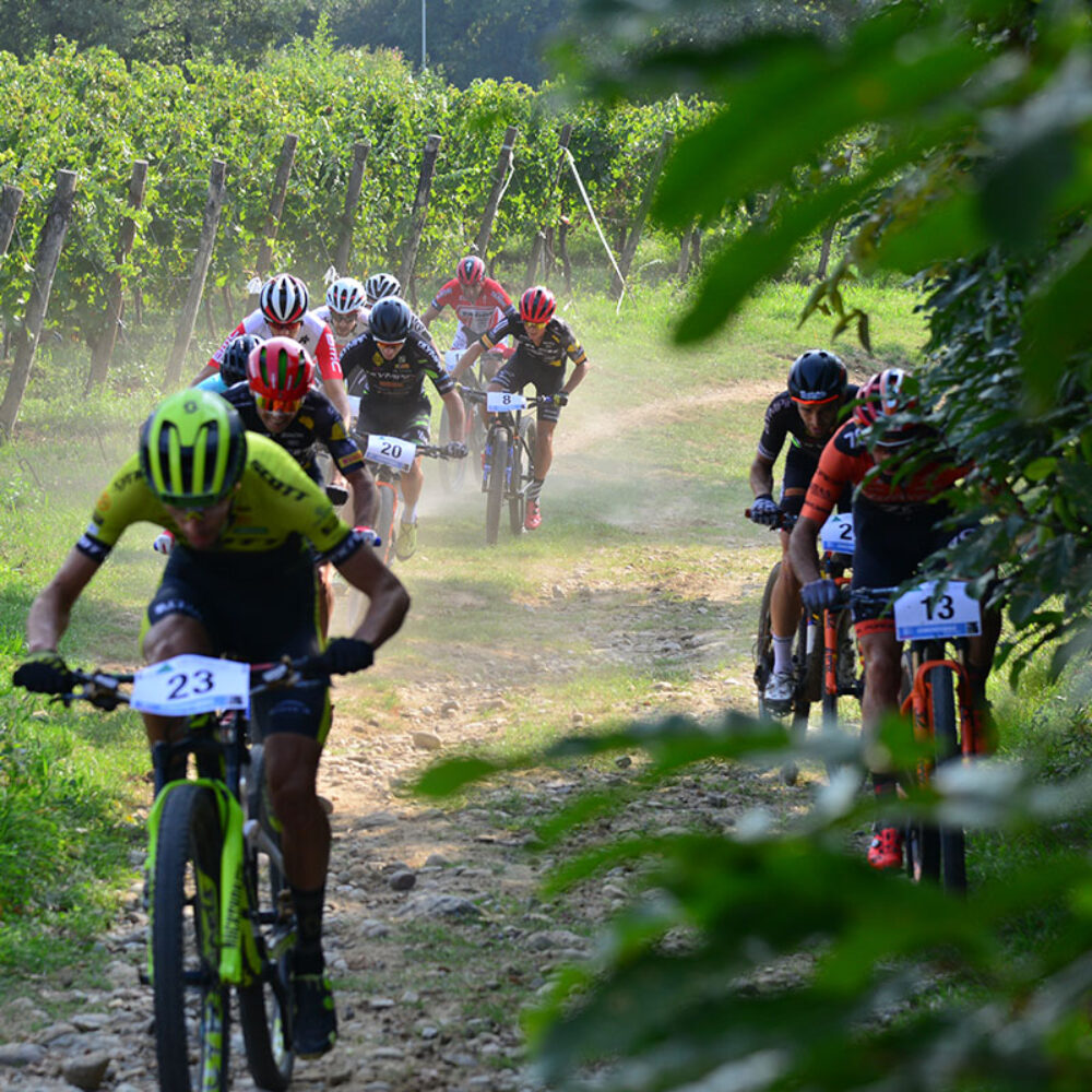 0c5c379b-8ecf-4cf5-9ac4-85c3ad1c790c