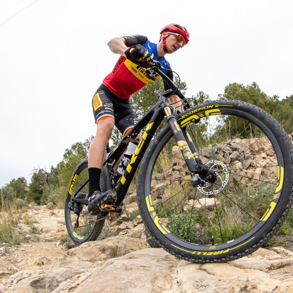 0fb2dd9a-6713-442e-932d-93a8c6b46bfc 0fb2dd9a-6713-442e-932d-93a8c6b46bfc