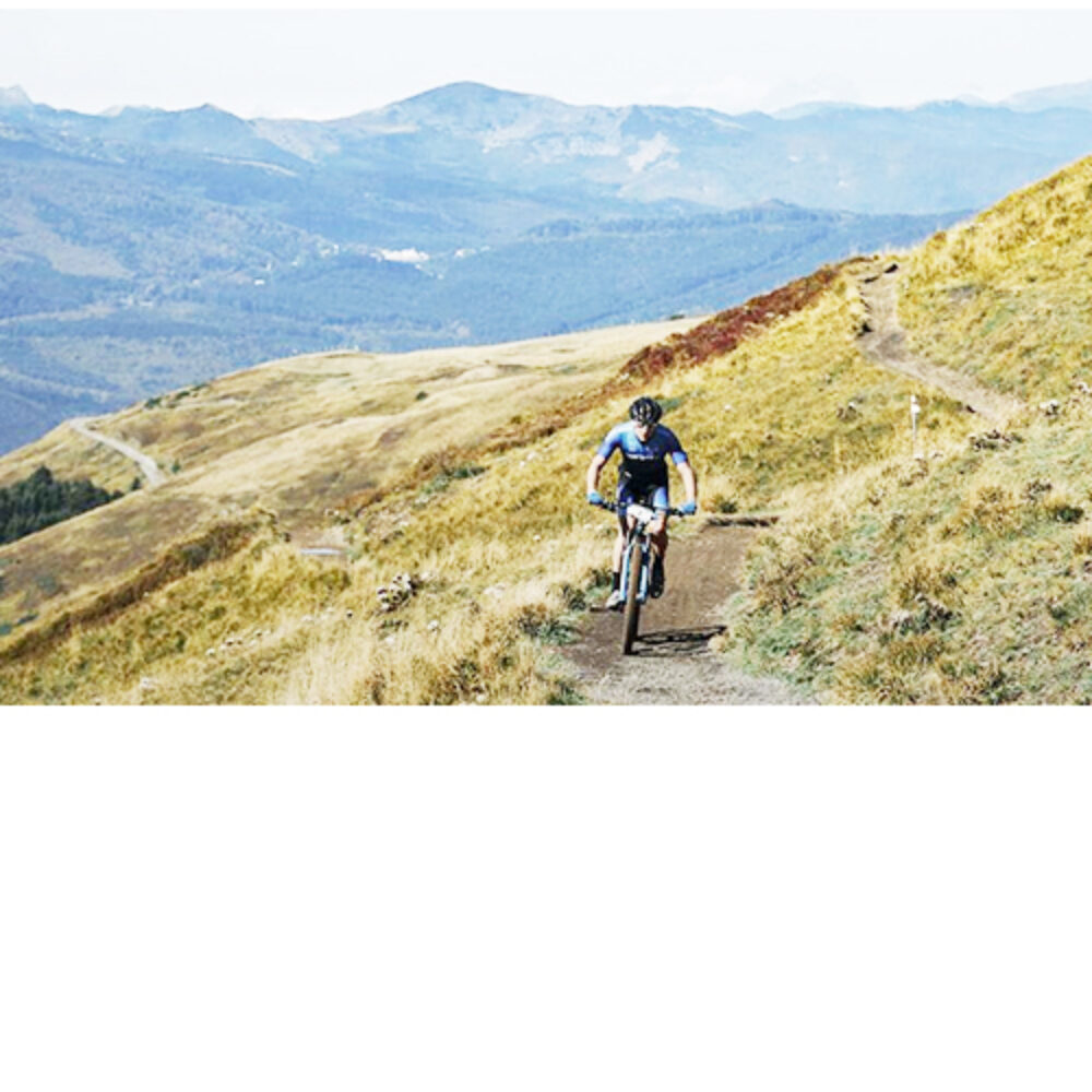 1aa467b4-34a2-4e84-8d49-70299ee0f403