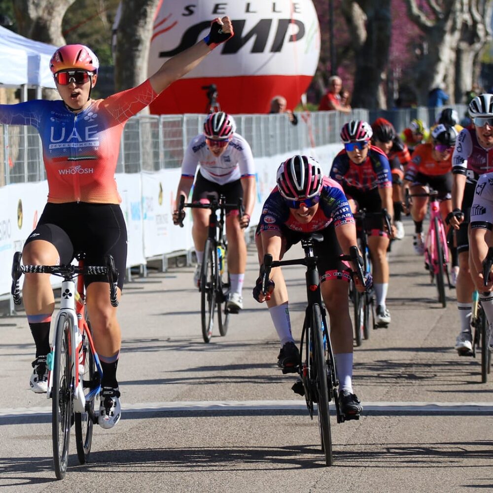 1b4597c3-14d4-46b1-a570-8b6871d3c762