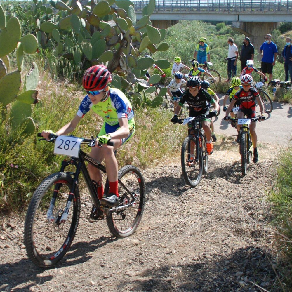 1b85ba5a-cfbb-4a7c-aabb-74d62db6f006