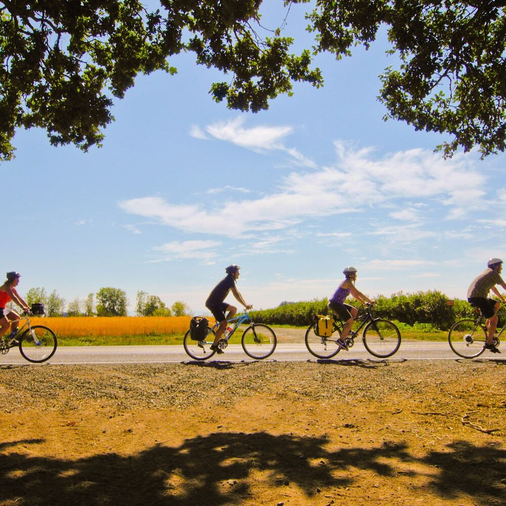 1e81492a-ca77-4a01-93bf-fa3e3a1785a1 1e81492a-ca77-4a01-93bf-fa3e3a1785a1