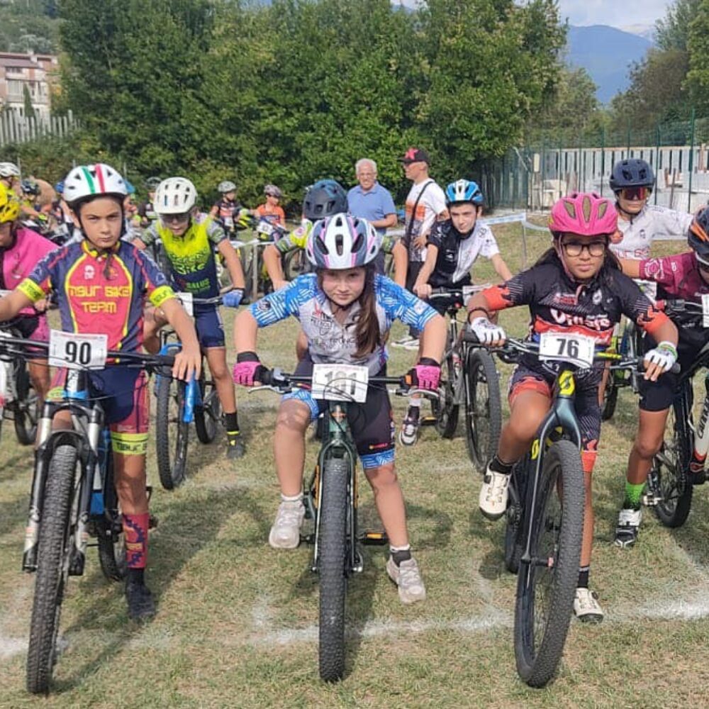 1f3db8d6-e9b2-4be5-aff7-b12d4d1d9513