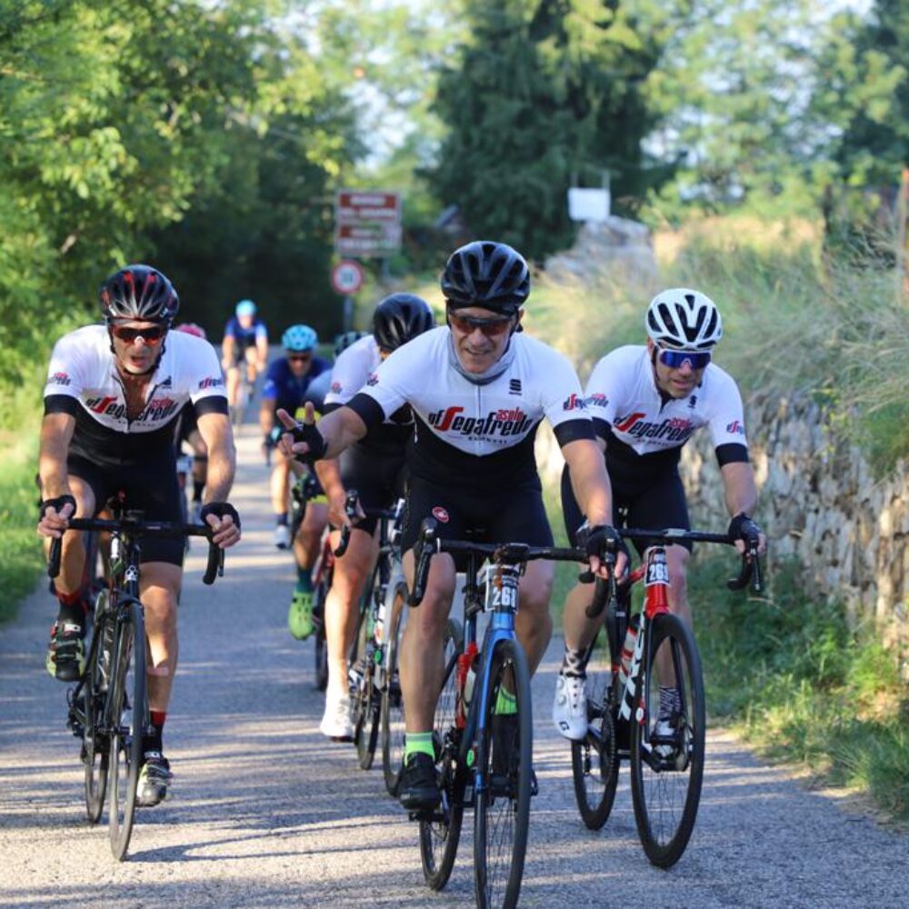 1fcfe951-3e1e-4722-ac5a-8c79fd45d80f