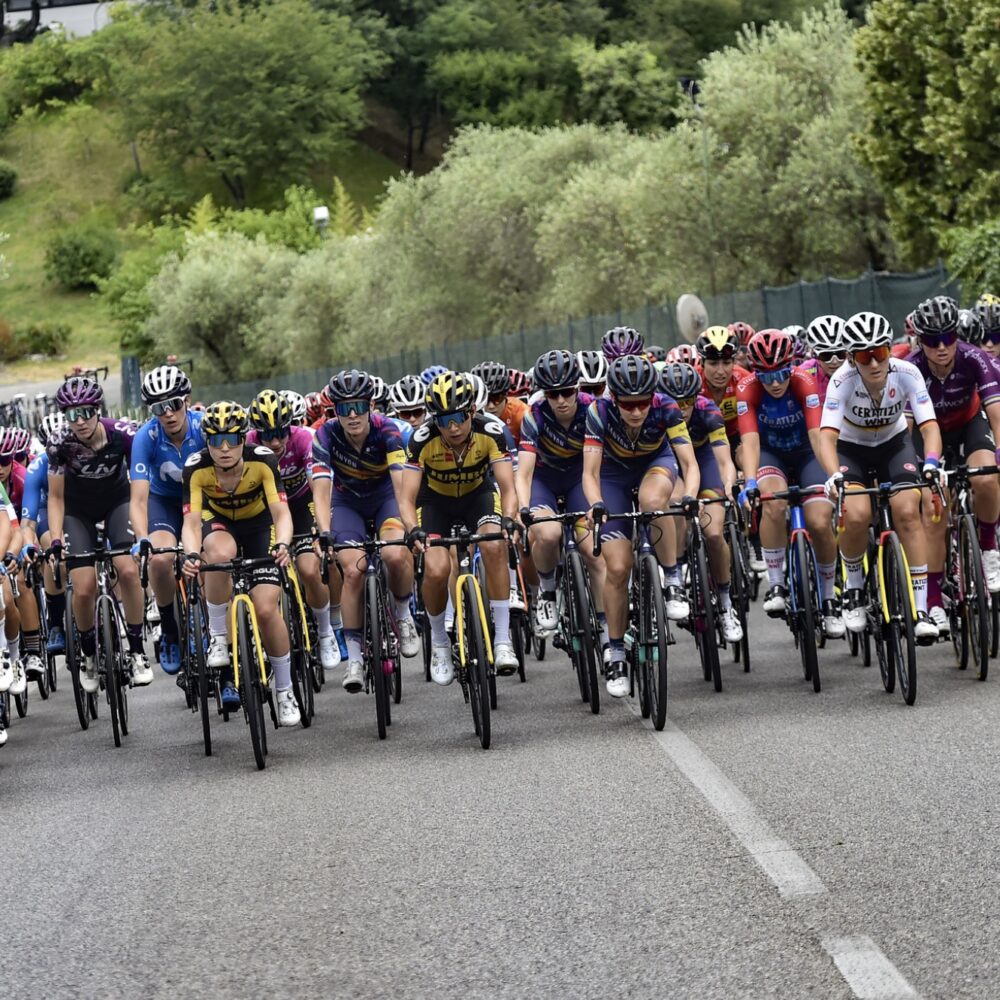 20dbf0fb-9e20-4639-8880-fc1f3f3c8a88 20dbf0fb-9e20-4639-8880-fc1f3f3c8a88