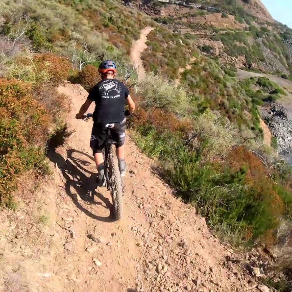 2168df9e-a68a-4b2a-aae0-e5460c116d35 2168df9e-a68a-4b2a-aae0-e5460c116d35