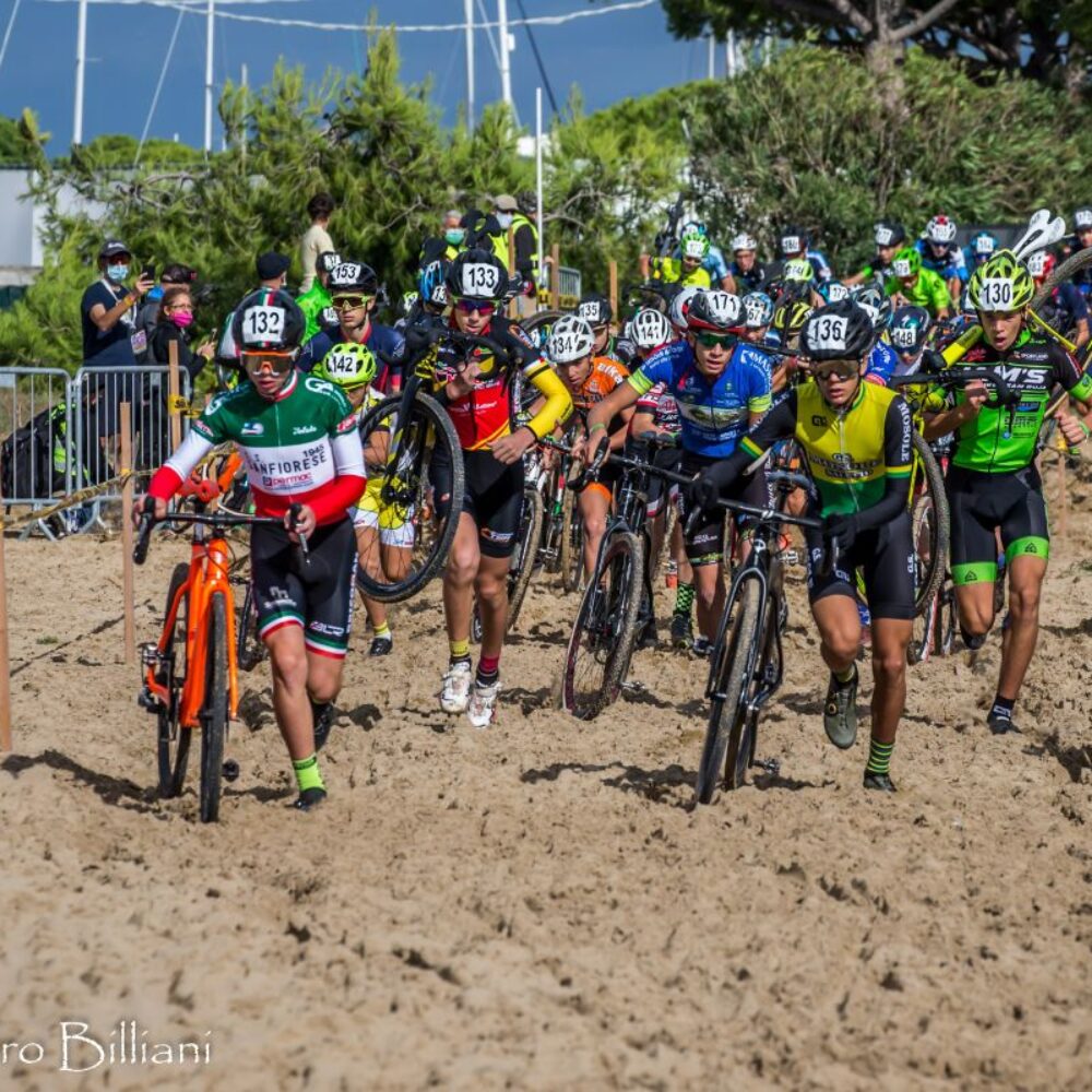 23d8fa4d-c8ee-4a6a-9a2d-7bf1e1c4b471