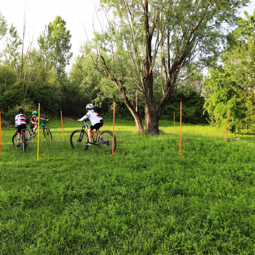 27e72234-9f07-48b2-97e6-e02d6f586eb2