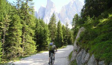 FASE 2 – Chiarimenti riguardo l’attività sportiva