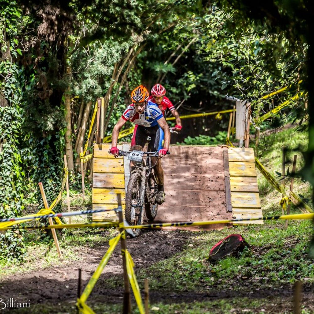 2d5b9fb8-f262-4450-8421-f9e8629883d4