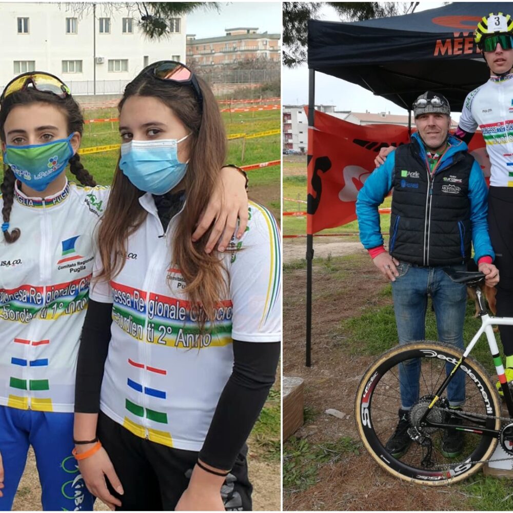 3003c397-0caf-4ab1-8c34-8c40c3895342