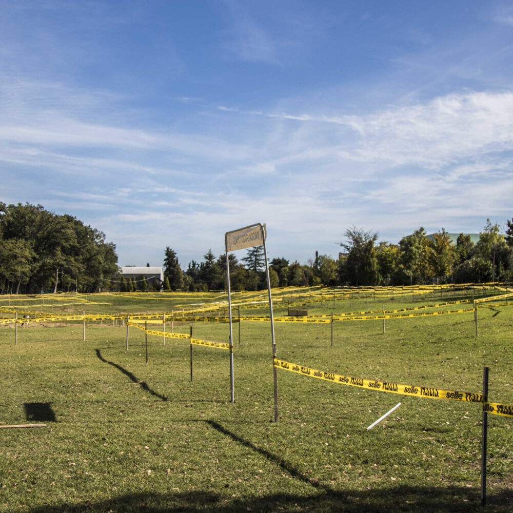 303759ad-b4b1-4396-af03-1ec29383a1f1