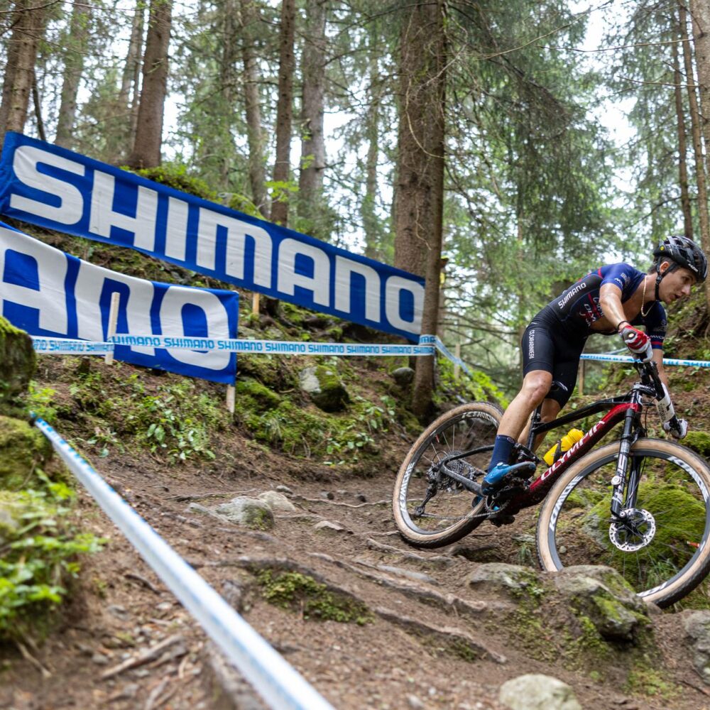 350fb410-0606-4c49-8b2e-2322d4903526 350fb410-0606-4c49-8b2e-2322d4903526