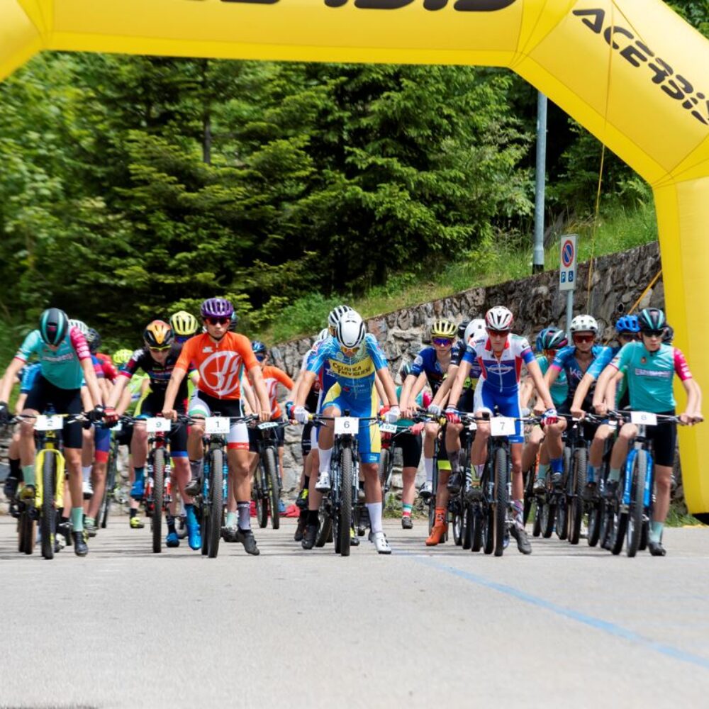 36501140-1857-4061-838e-b6ac30ac0b3f