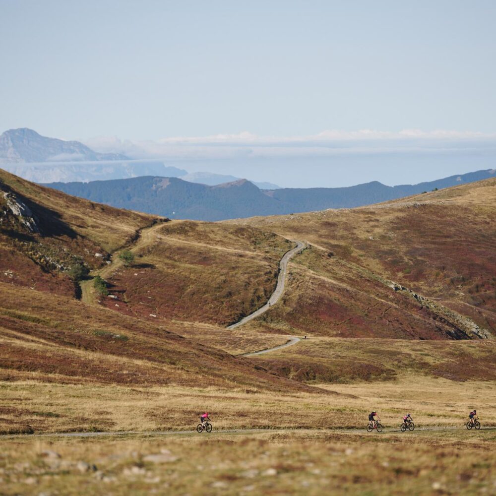 38ebeec9-b0c9-4ffa-9e68-e891bdefb3e7