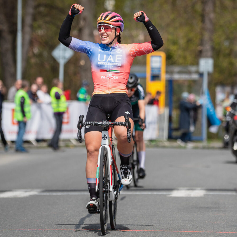 391ce738-1dcb-4521-bc6b-8ba9d9539daf 391ce738-1dcb-4521-bc6b-8ba9d9539daf