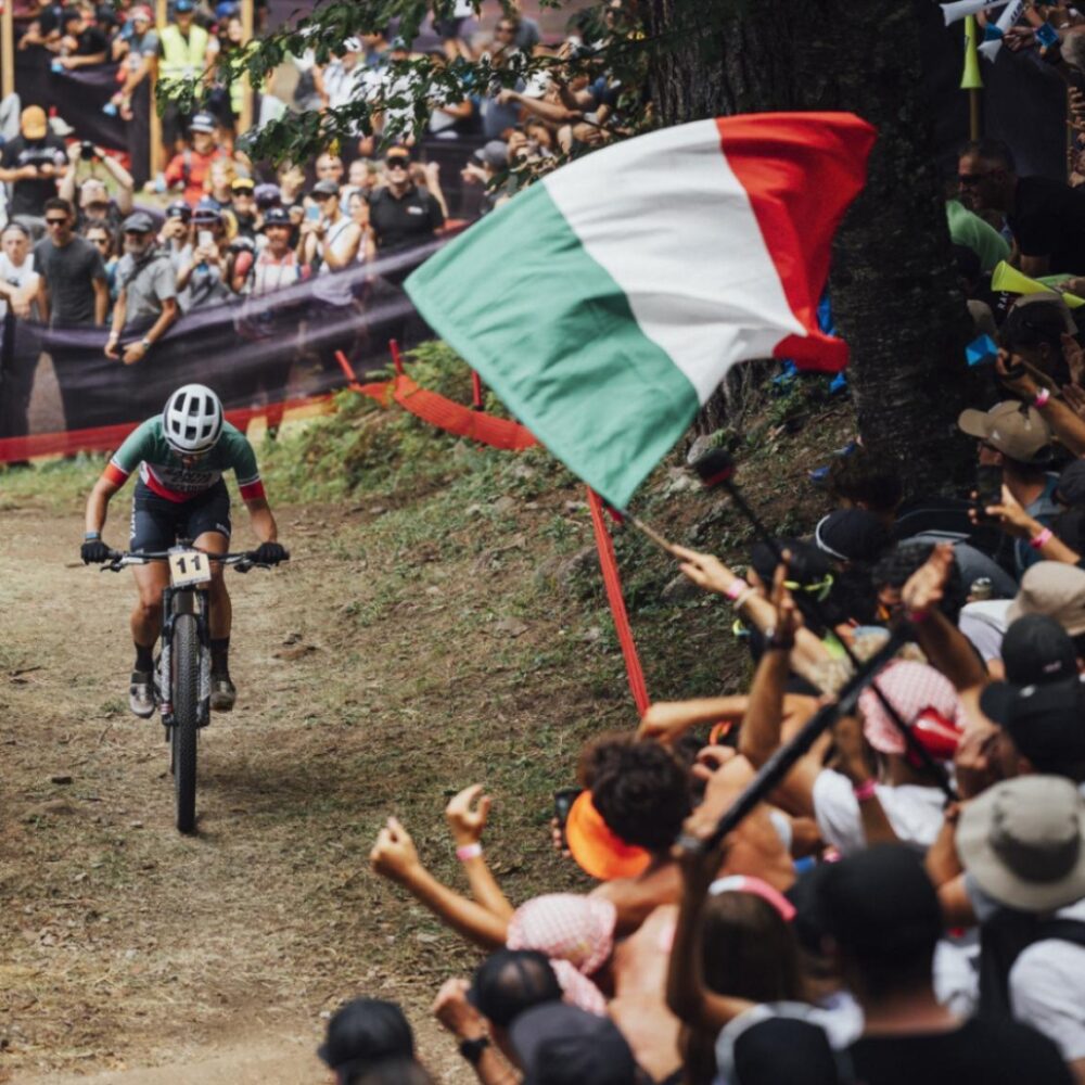 3ec7f5f6-2aec-401b-beed-ea9d7a9f3132