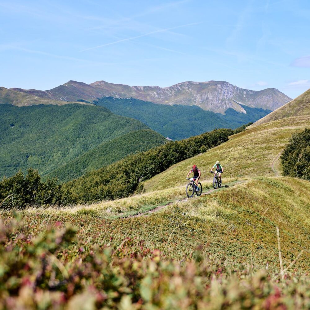 3ec9e74b-1756-4cf1-92df-213fdab04659 3ec9e74b-1756-4cf1-92df-213fdab04659