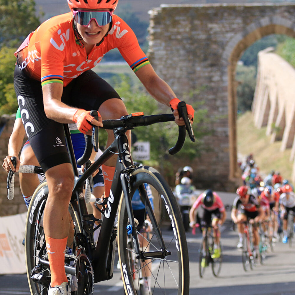 3fdfe875-1ef1-4a81-a9ae-fa97df233f2b 3fdfe875-1ef1-4a81-a9ae-fa97df233f2b