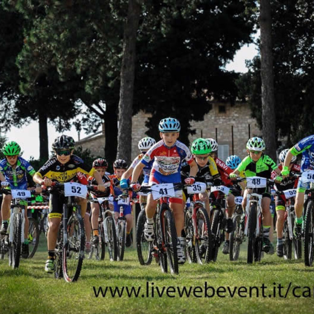 424c88ba-355d-421f-90d5-cd71befb7961 424c88ba-355d-421f-90d5-cd71befb7961