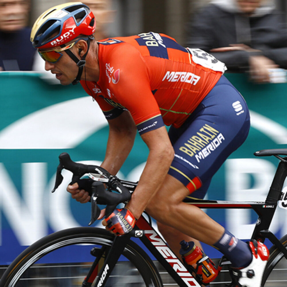 449481fa-c56e-4e65-a0b0-42ea1056d359 449481fa-c56e-4e65-a0b0-42ea1056d359