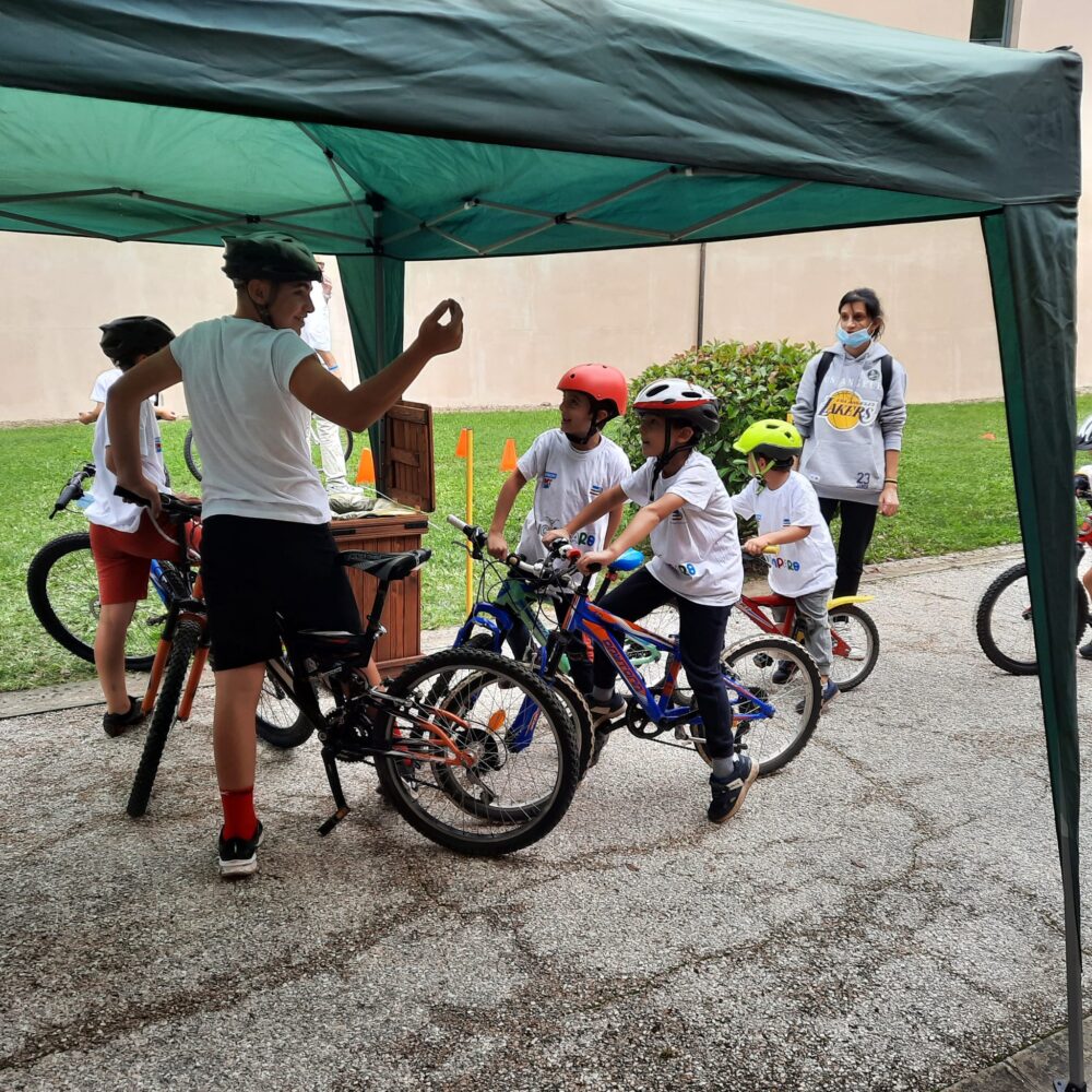 46dd17e0-69cd-4529-b05b-fde795ba6a62