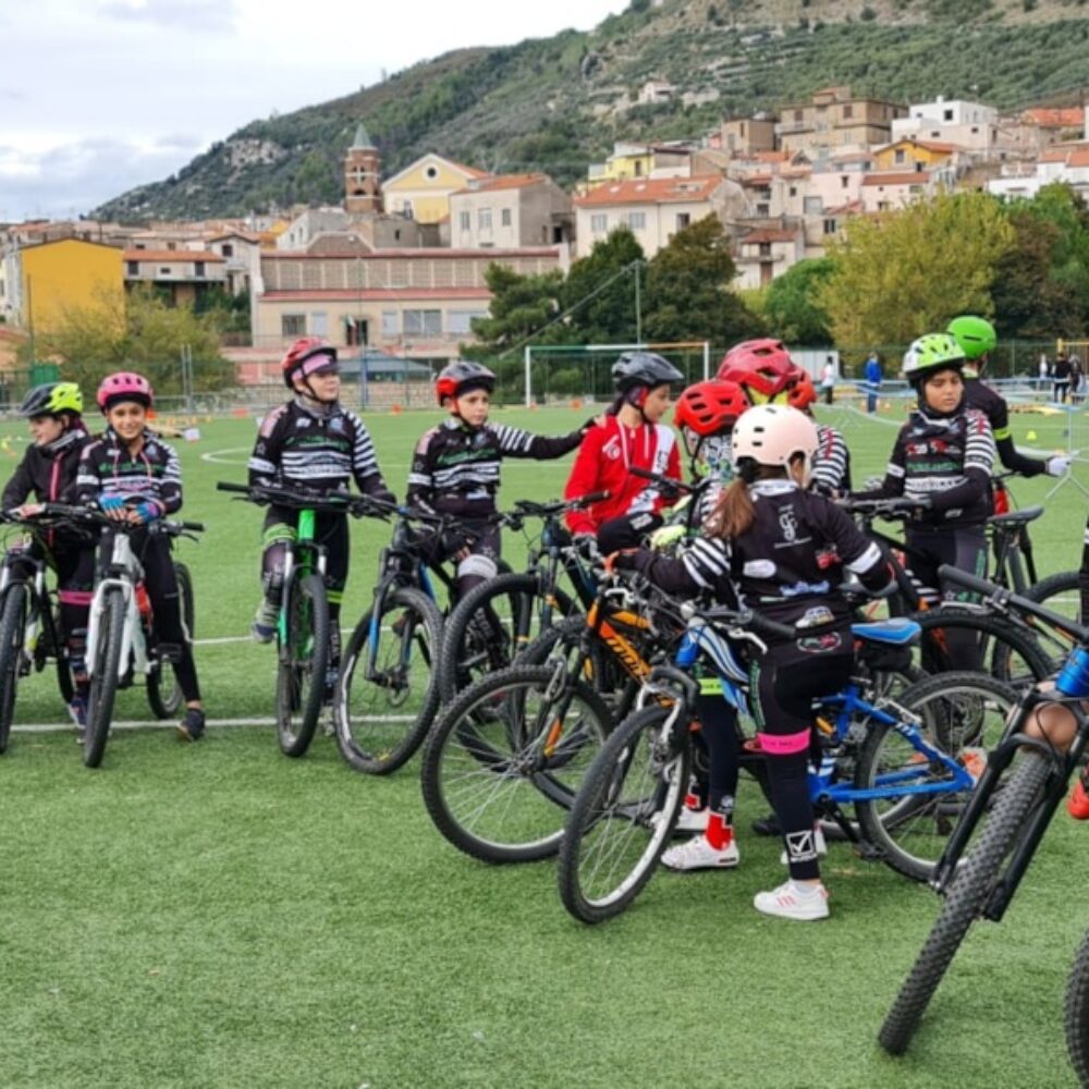 4812c890-1f73-4961-8077-7c14585ca4a3