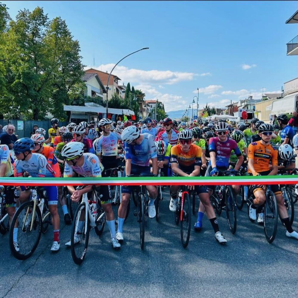 5007b58b-fa77-4bac-8459-69f3e7173f16