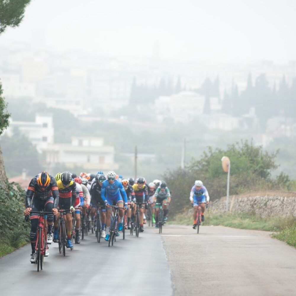 50ece5b4-0a91-4b85-8a68-0ef4bb09555f 50ece5b4-0a91-4b85-8a68-0ef4bb09555f