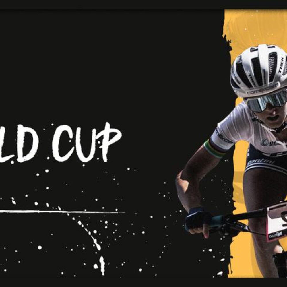 517efb0d-9adf-47d0-a1af-aed959b970b8