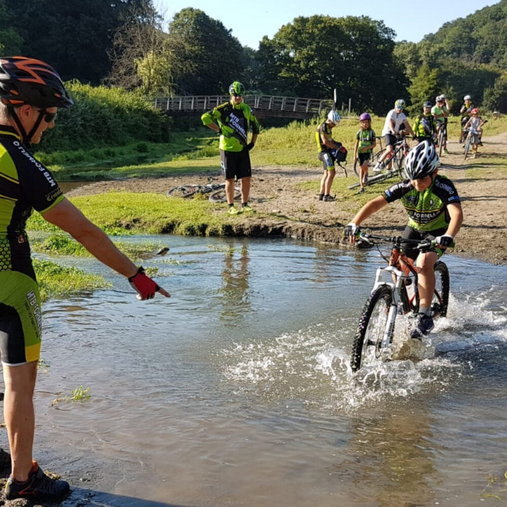 5320578f-6bff-4566-9a62-98874022f4dc 5320578f-6bff-4566-9a62-98874022f4dc