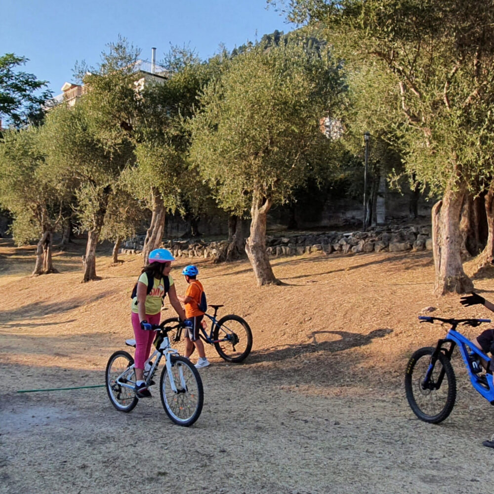 581bdb6c-f614-43e4-b79e-b65d7118afe6