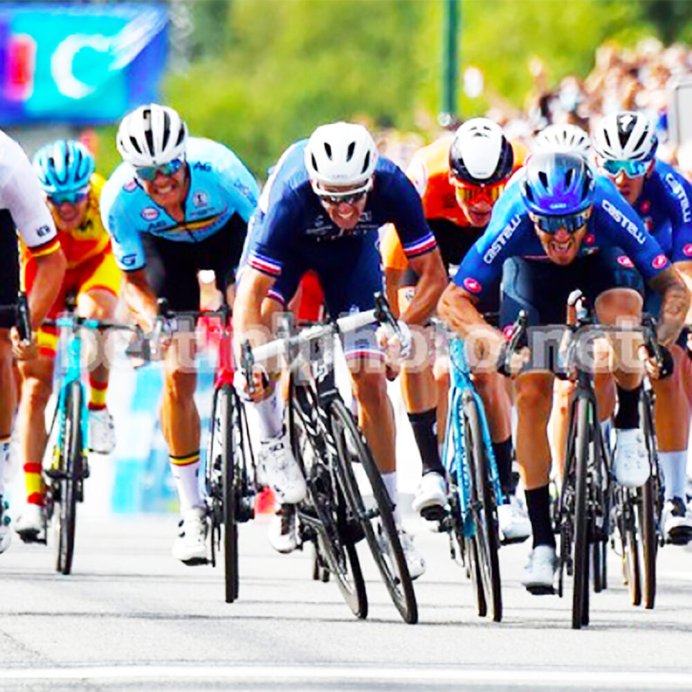 60792f3f-8db3-441a-9956-9cfc6c3a2f79