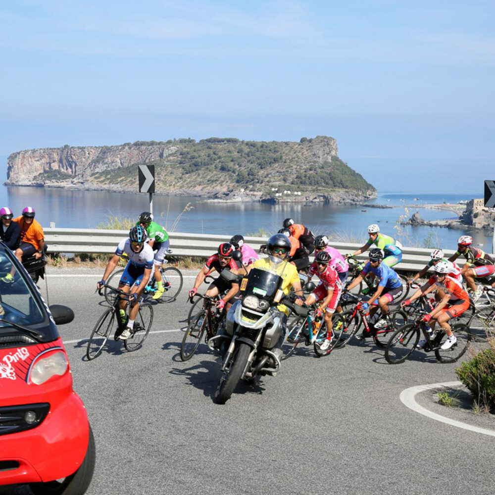 623bc5c3-8b51-4039-a28f-d0974e1892da 623bc5c3-8b51-4039-a28f-d0974e1892da