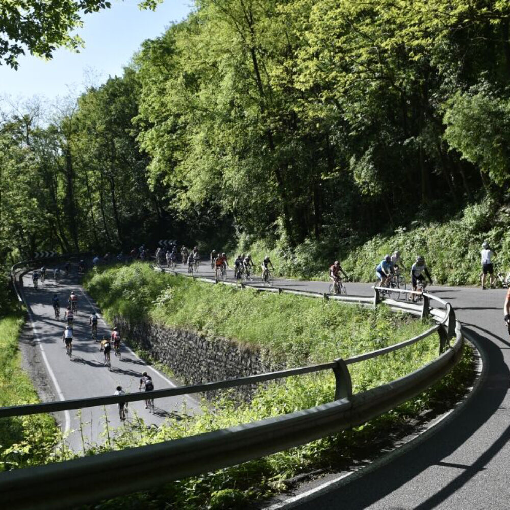 656188c0-9dfc-46bd-aa0e-25dfb362b2bc 656188c0-9dfc-46bd-aa0e-25dfb362b2bc