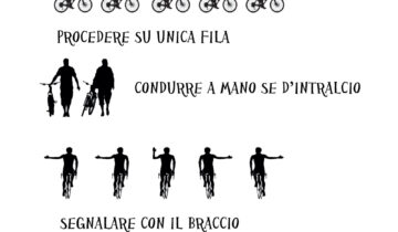 Norme di comportamento principali