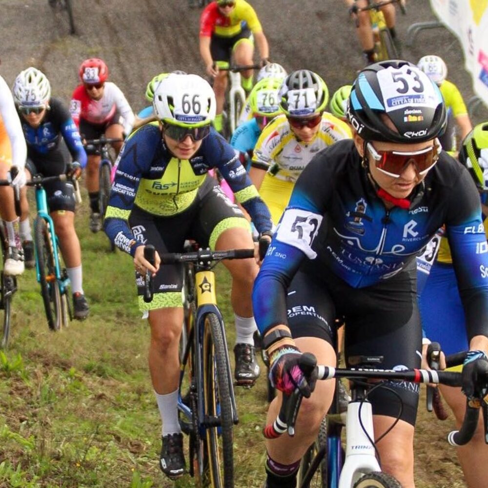 6ad3da96-7af6-4b6c-bfc9-ad5093673105