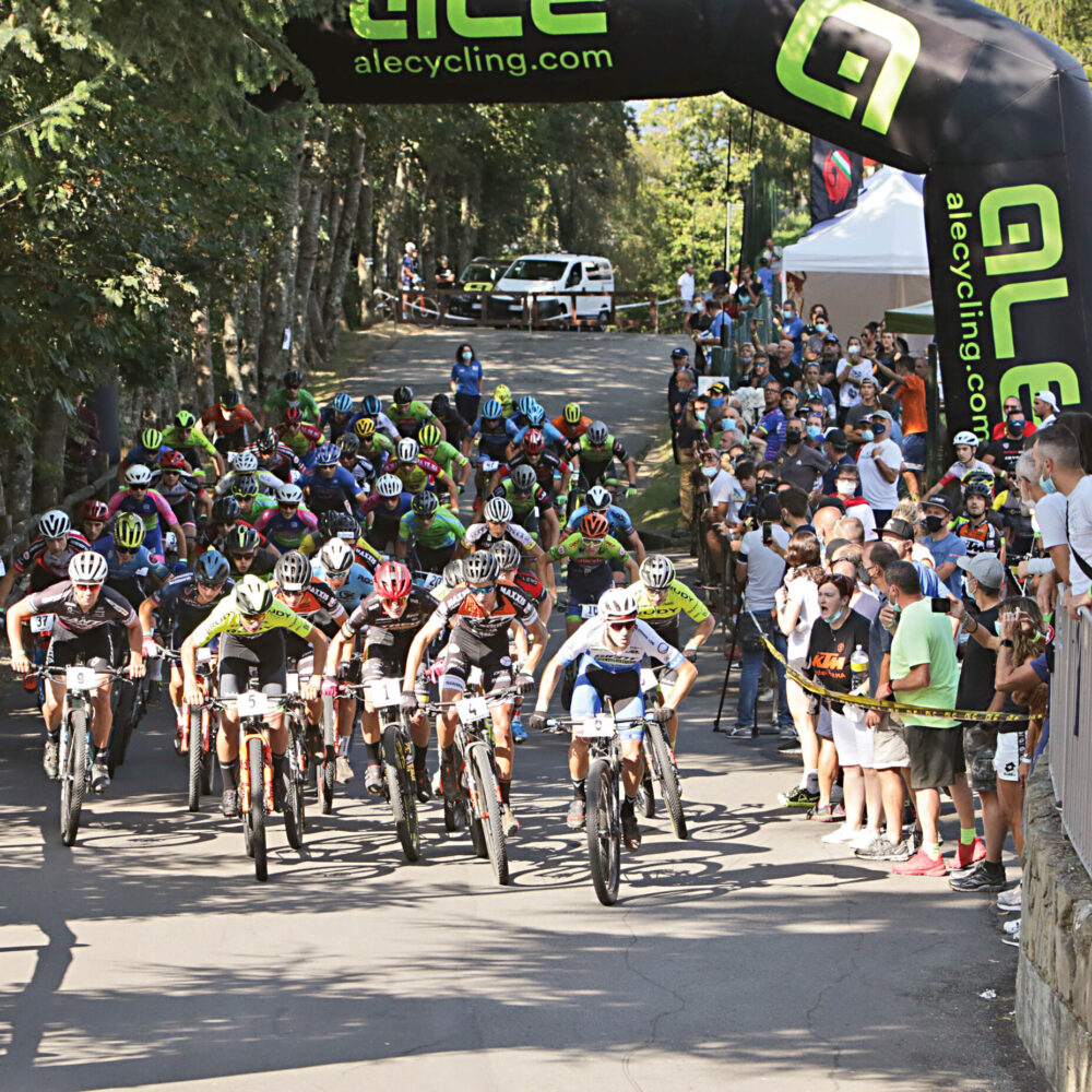 7085a311-1c72-4d69-801d-c2ba26127912