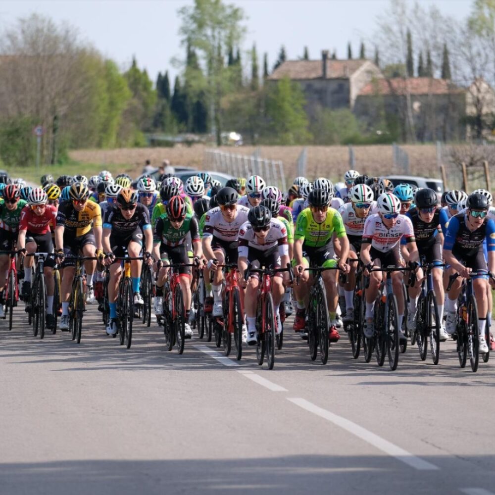 75e4461d-d39b-4426-af6b-af3b030df43f