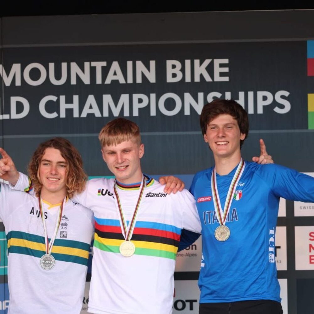 77901f0c-01a5-465e-aae1-0d77859e9368