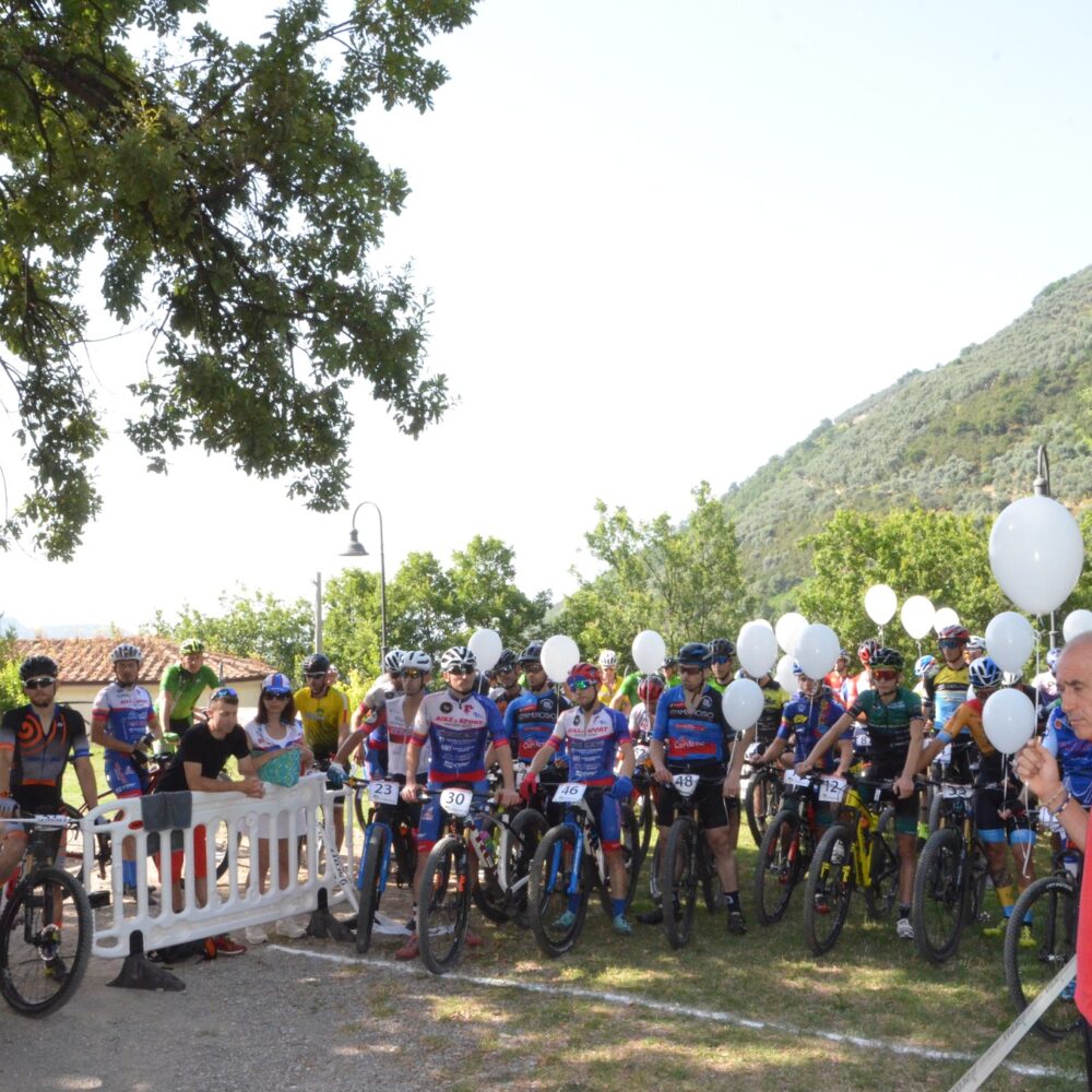 7e81212a-56fd-4412-8477-a6b9763f3b40