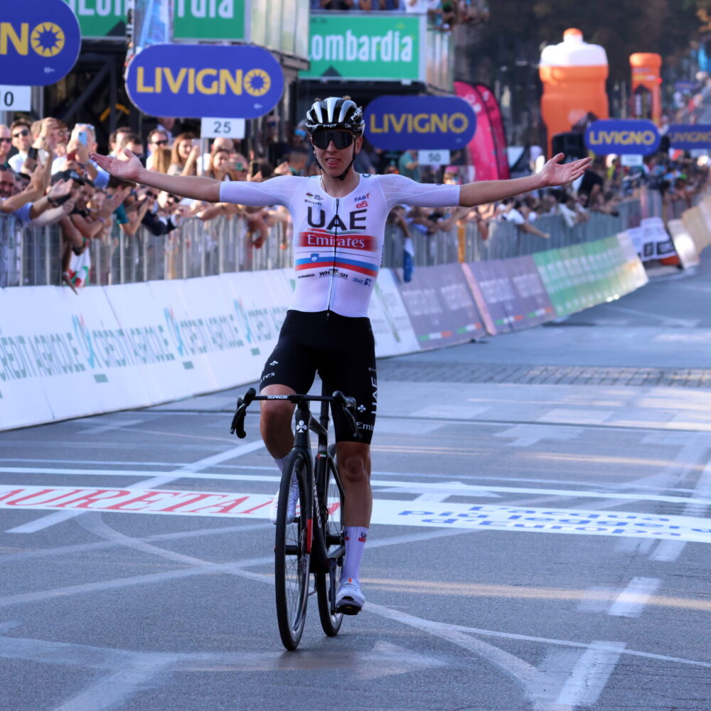 84942769-d184-4a7d-9783-dbb4a123dba8