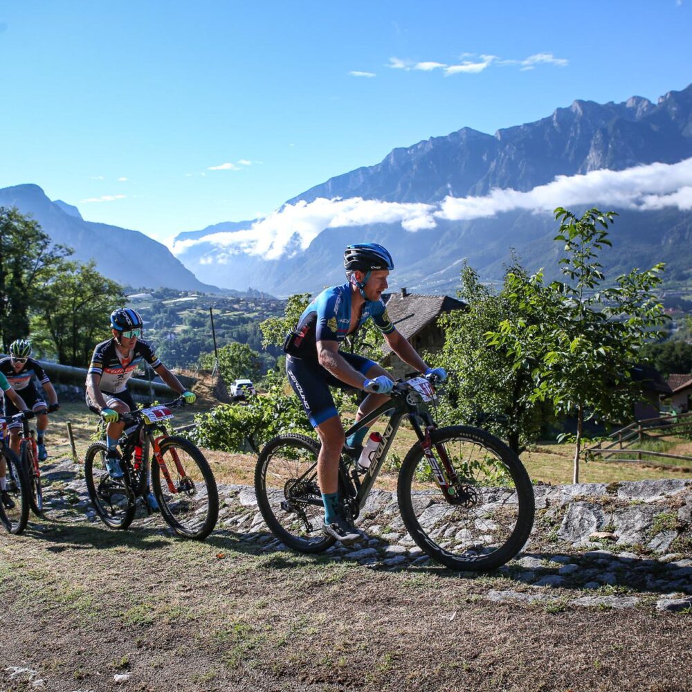 87960a14-e5de-412e-9cba-ed2eb97c4b0a